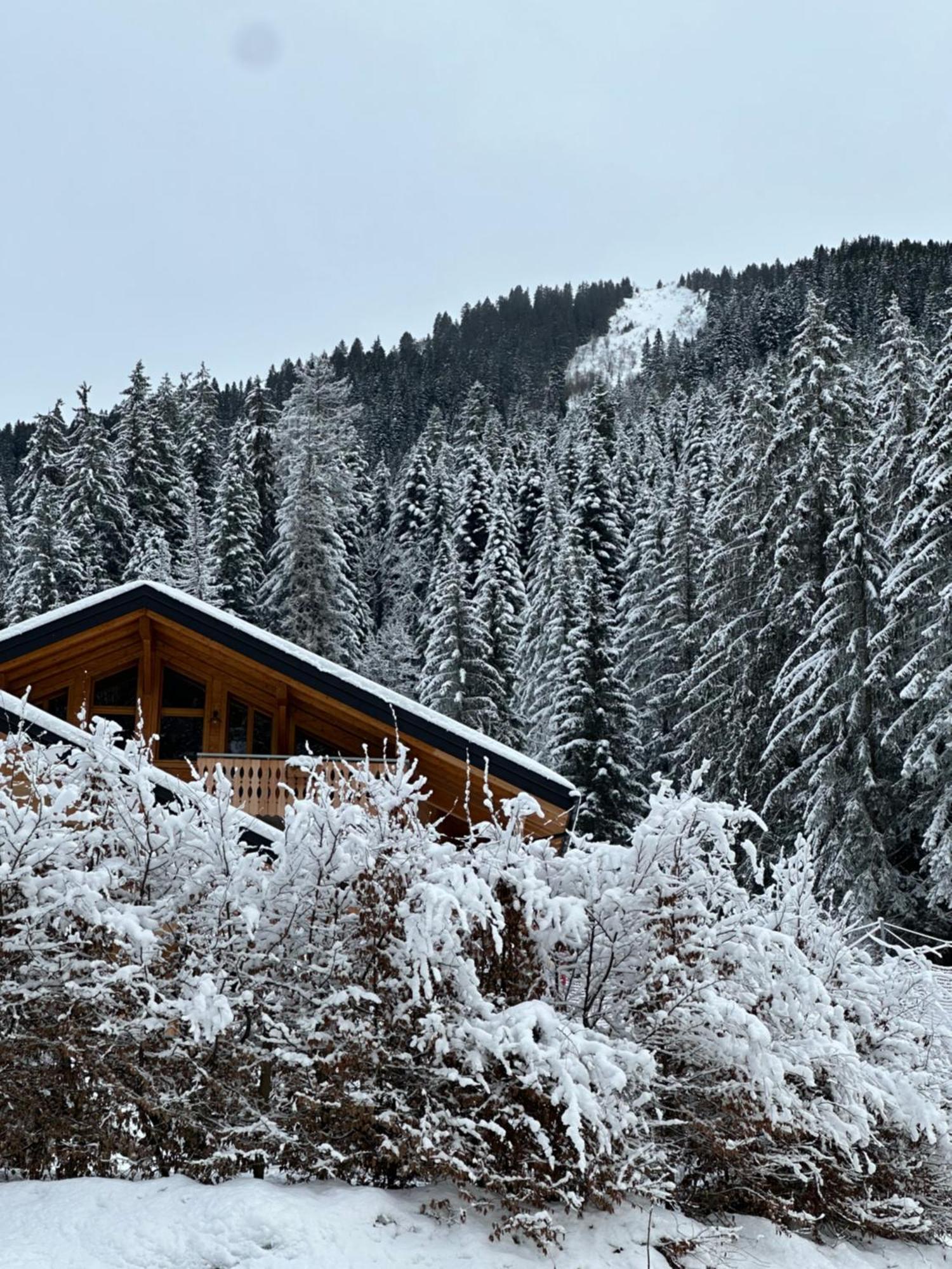 La Rose Des Neiges A Châtel Εξωτερικό φωτογραφία